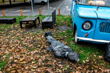 a black bag of garbage is lying on the ground near the car. concern for nature.