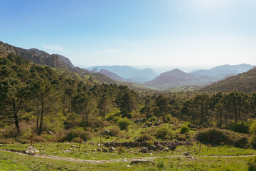 Fototapeta na wymiar Landscape in the mountains in Andalusia, Spain