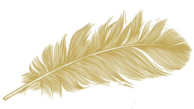 Golden feather isolated on white