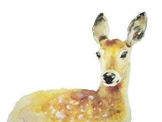 Deer fawn watercolor hand painted Illustration isolated on white background.