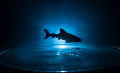 Fototapeta premium Fish in Aquarium. Water splash on dark foggy background. Selective focus.