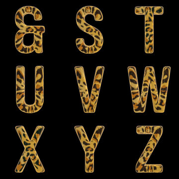 3D Render Set of Tiger Alphabet - Font including Letters,  Numbers and Punctuation Marks