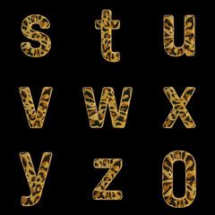 3D Render Set of Tiger Alphabet - Font including Letters,  Numbers and Punctuation Marks