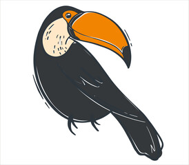 Trendy flat illustration with black toucan for any design. Tropical bird. Vector illustration. © Khay_Juliya
