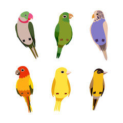 Perching Birds as Winged Feathered Creature with Bright Plumage Vector Set
