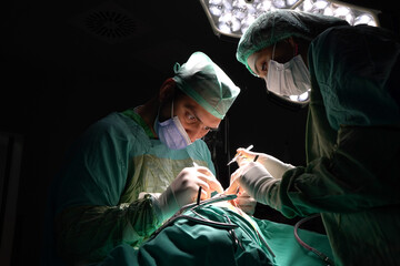 rhinoplasty surgery, defects in the shape of the nose in the female patient. Surgical intervention in plastic surgery rhinoplasty 