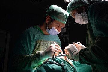 rhinoplasty surgery, defects in the shape of the nose in the female patient. Surgical intervention in plastic surgery rhinoplasty 