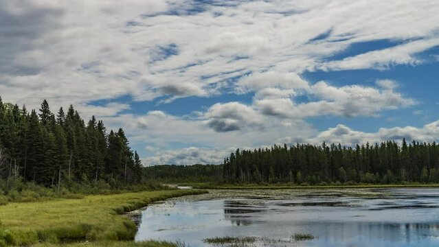 Forest pond with timelapsed clouds in Prince Albert National Park