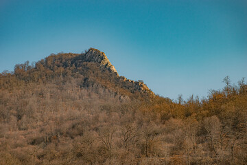 landscape in the autumn morning