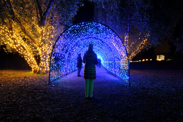 Holiday lighted “Walk Through” tunnel 
