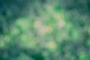 Blurred abstract background with green bokeh