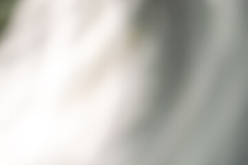 Gray beige background with side light