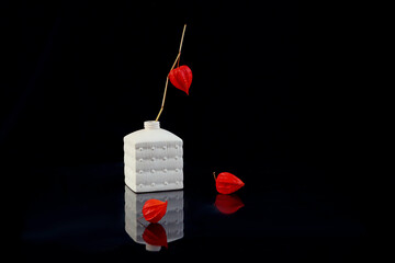 Still life on a dark background: a white square vase with a physalis branch, physalis lies next to the vase, reflection from objects, dark background