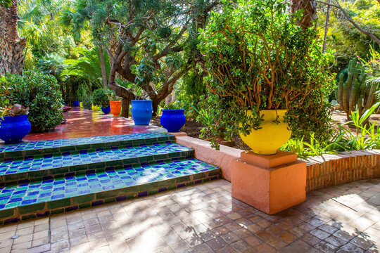 Footpath and potted plants ib  bright yellow and blue pots  in Majorelle garden in Marrakech