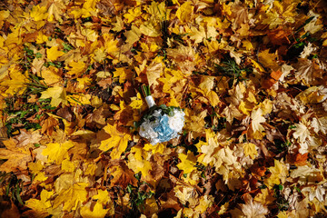 Wedding bouquet on the background of autumn leaves