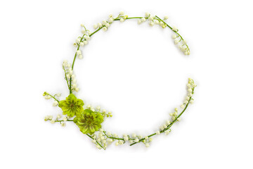 Frame with white flowers Lily of the valley ( Convallaria majalis, May bells, may-lily ), hellebores on white background with space for text. Top view, flat lay