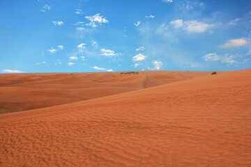 Fototapeta na wymiar Sand landscape sunset view on desert, Dubai, United Arab Emirates