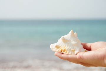 A seashell in the hand of a white woman with a blurry ocean on the background.