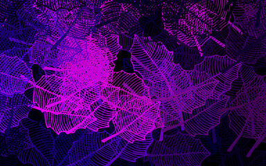 Dark Purple vector natural backdrop with leaves.