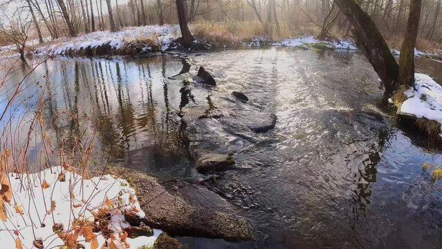 First days of winter on a small river, Poland.