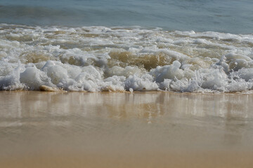 Tropical sandy beach with clear water as a backdrop.
