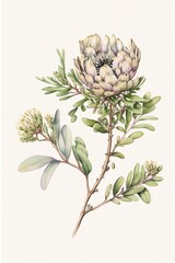 Classical botanical flower illustration made with Generative AI