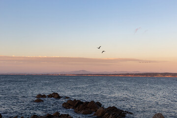 View on the ocean in the evening light