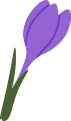 Bright purple crocus spring-flowering plant flat icon