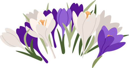 Bouquet with crocus and narcissus flat icon