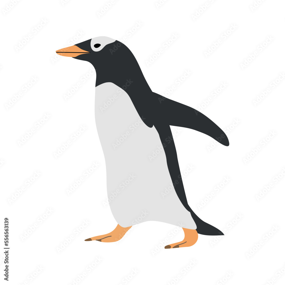 Canvas Prints Vector hand drawn flat penguin isolated on white background