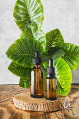 Two amber dropper bottles with essential oil on green leaves background