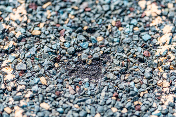 Macro of hail damage on a shingle residential roof circled with a chalk outline during a home inspection.