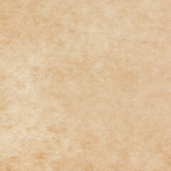 Old Paper texture. vintage paper background or texture; brown paper texture.