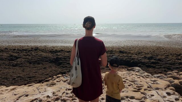 Mother and son looking at the ocean that is covered in algae.
