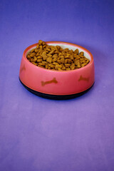 Healthy cat food in a pink bowl