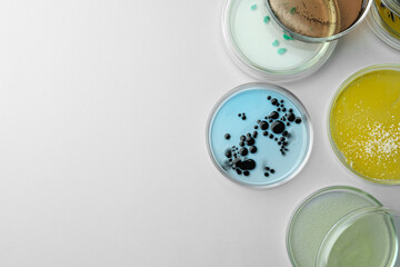Petri dishes with different bacteria colonies on white background, flat lay. Space for text