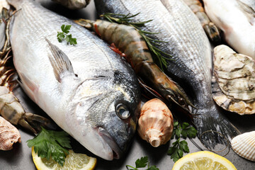 Fresh raw dorado fish and different seafood on grey table, closeup