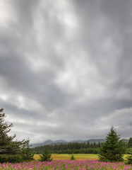 Fototapeta na wymiar Newsletter background with stormy, cloudy skies over mountains, trees, and field in Alaska 