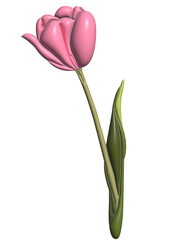 Tulips in 3D rendering style. on a transparent background