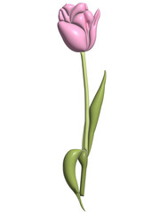 Tulips in 3D rendering style. on a transparent background