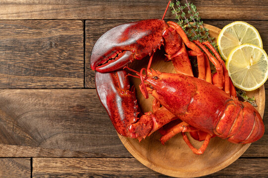 オマールエビ の画像 127 4 件の Stock 写真 ベクターおよびビデオ Adobe Stock