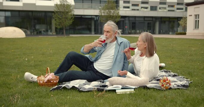 Senior age couple enjoying picnic together on meadow