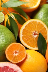 Different fresh whole and cut citrus fruits as background, top view
