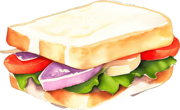 sandwich hand drawn with watercolor painting style illustration