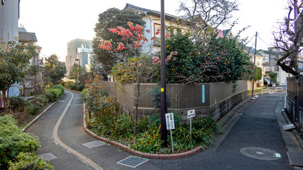 冬の日の遊歩道