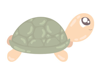 turtle cute animal