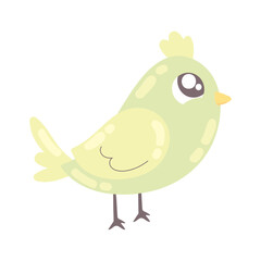 bird cute animal