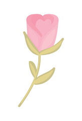 flower rose icon