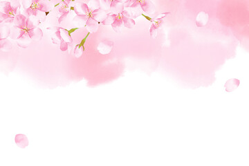桜の水彩風イラスト　背景素材 水彩にじみ
