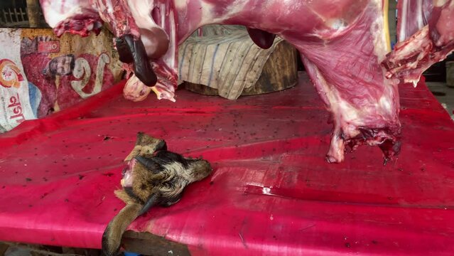 Animal slaughter concept. Meat shop. Goats tied by rope for sell or slaughter next for meat in Bangladesh. Animal torture. Handheld shot
